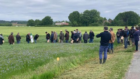 Une cinquantaine d’agriculteurs a suivi une matinée technique sur le lin et la luzerne porte-graine, organisée par la Scar, le 10 mai, à Cherval (Dordogne). © JA 24